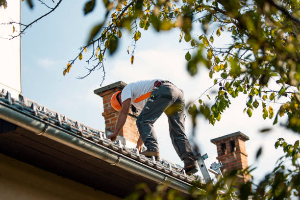 Professional Roofing Contractor in Pawtucket, RI